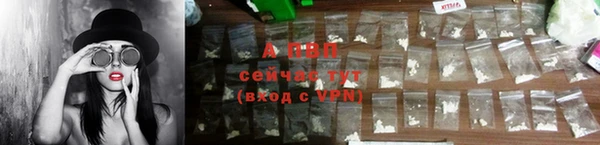 крисы Белоозёрский