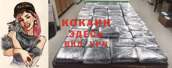 крисы Белоозёрский