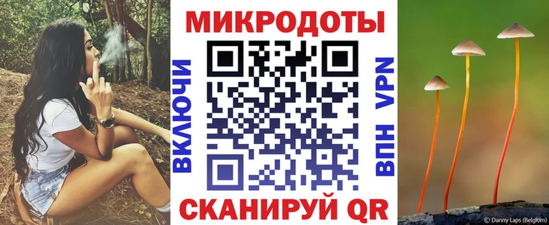 Купить закладки  Апшеронск  Галлюциногенные грибы Psilocybe 